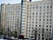 137 серия